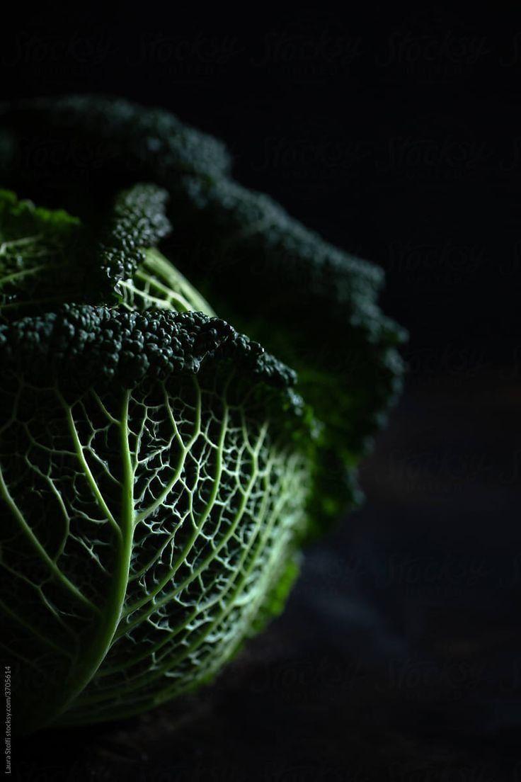 Garden's Bounty: Earth's Finest Harvest Medley